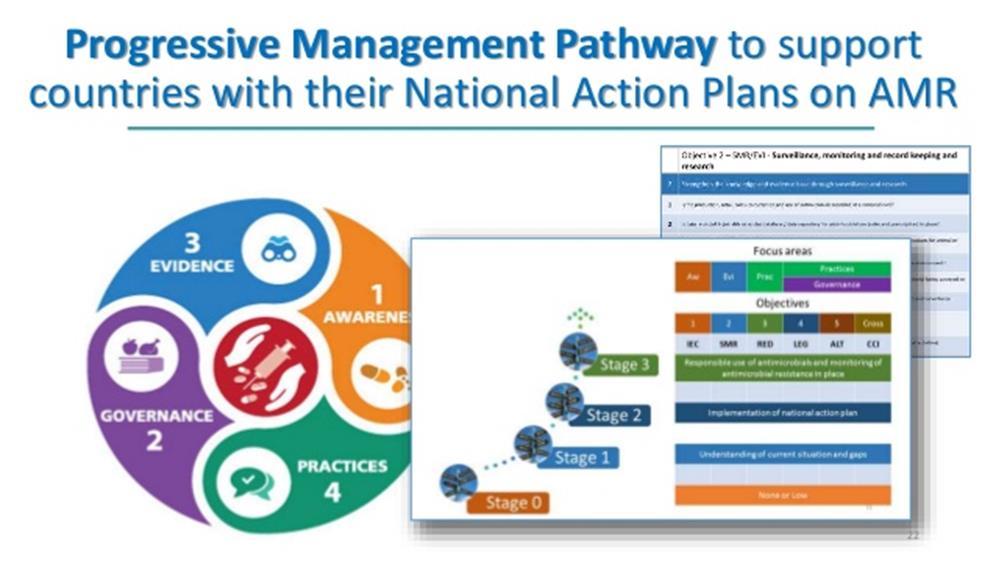 Progressive Management Pathway for AMR The Progressive Management Pathway for AMR is a tool which offers a stage-wise progression to guide activities and interventions on AMR for each of the food and