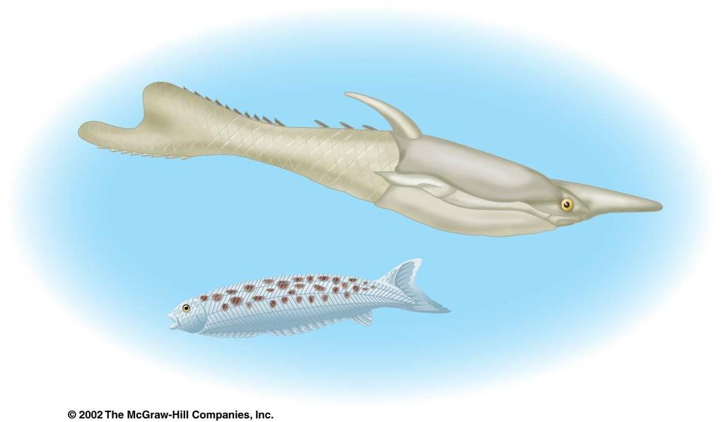 Other groups of jawless vertebrates were armored with