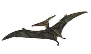 Pterosaurs were the first tetrapods to exhibit