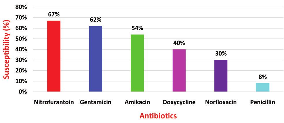 Dnyaneshwari P. Ghadage et al., Bacteriological Profile and Antibiogram of Urinary Tract Infections at a Tertiary Care Hospital www.njlm.