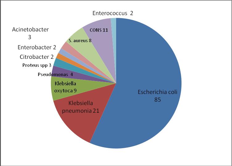 Fig. 1: Distribution of pathogens isolated in UTI Antimicrobial susceptibility pattern: The antibiogram revealed that, all the isolated bacteria such as E.