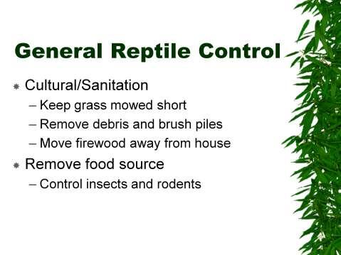 General reptile control:
