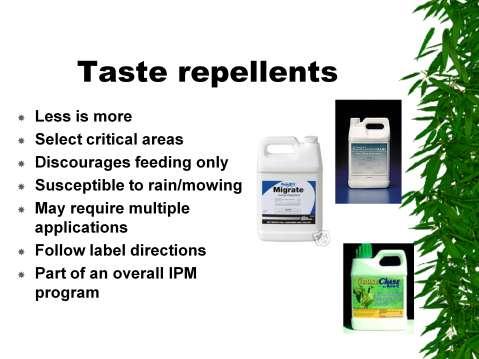 Taste repellents: Rejex-It