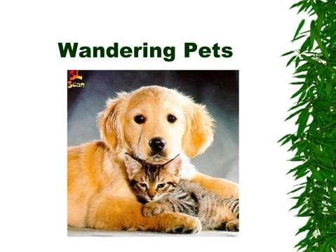 Wandering pets can
