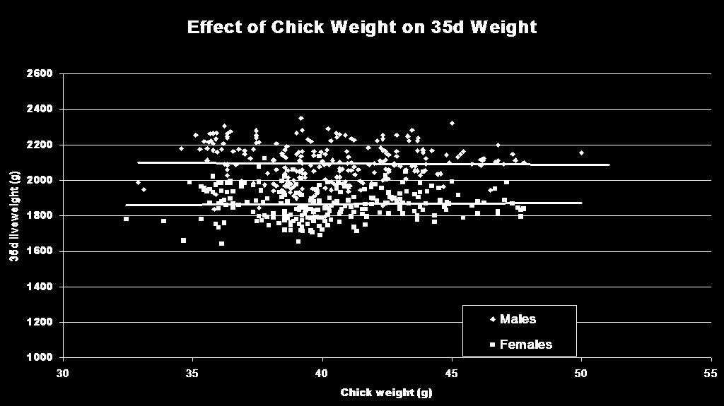 Inputs Size Chick weight