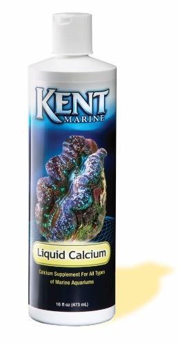 CALCIUM One of the most important components to maintaining a healthy reef or marine environment is calcium.