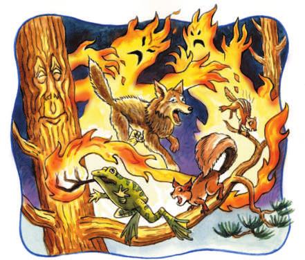 How Coyote Stole Fire (continued) When we left off with our story, Mr. Gordon began, Coyote was escaping from the Fire Beings. They were close behind, chasing him down the mountain. Mr. Gordon went on: One of the Fire Beings reached out and touched the tip of Coyote s tail, and the tail fur turned white!
