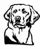 SPECIAL PRIZES Labrador Retrievers Sponsors: Paws-itive Experience & Fran Pigeon VOLUNTEER SIGN UP We cannot hold a Barn Hunt without volunteers.