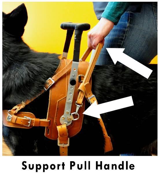 o NONE (rigid metal handle only, no pulling or leading is needed) o Basic Pull-Strap (add $25) Perfect for getting up from a seated position.