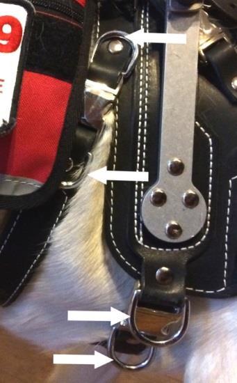 Removable bolts hold the handle onto the harness. Keep an extra set handy, just in case.