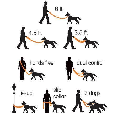 Need to slow your dog down and help keep him focused?
