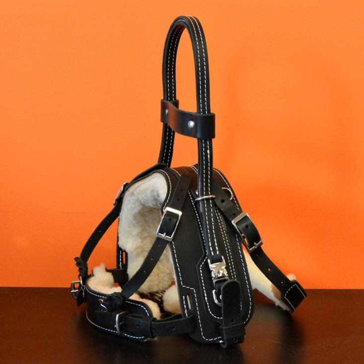 available: the difference is the primary handle Balance Assistance Harness (BAH) has a flexible leather assistance handle (formerly the Basic Assistance Harness) Mobility Support Harness (MSH) has a