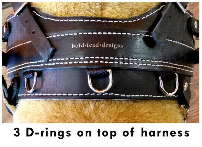 assistance o Choose the harness style based on the primary handle you need Balance Assistance Harness with flexible leather handle, see pages 6-9 Mobility Support Harness with rigid metal handle, see