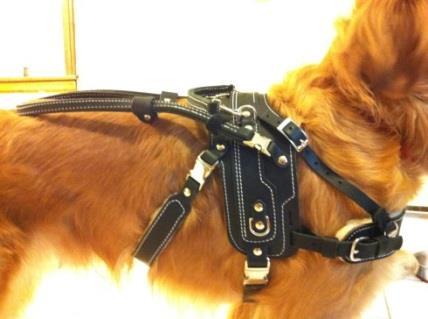 Formerly known as the Basic Assistance Harness, this harness has a lot to offer!