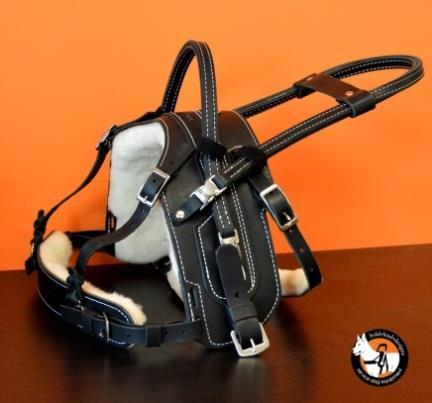 Primary Assistance Handle: Select one o A) Flexible Balance Handle (vertical) Default standard option This leather handle is positioned vertically on the harness.