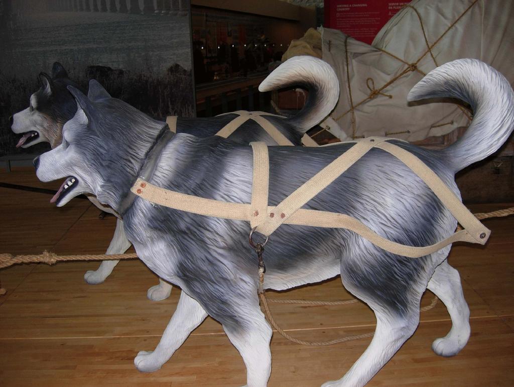 Period correct costumes -Animals need correct costumes just as people do -Use of modern nylon collars, leashes, coats or