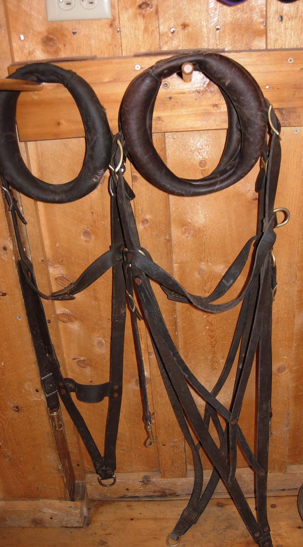Harnesses Travois and Pack basket harnesses in leather Fittings and buckles should be brass finish if possible Early European Dog harnesses look much like what was used for horses.