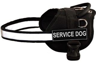Although DT WORKS is specifically designed for working dogs it is lightweight and comfortable for family pets everyday use.