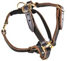 DTGuide Leather Guide Harness M, L DT Guide is a mobility assistance harness with a