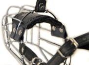 DT Muzzle has four adjustable straps, and the nose area is comfortably padded with natural heavy felt.