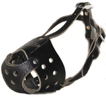 DTM51 The Leader MUZZLES 4 Sizes The Leader is made of solid leather pieces that do not