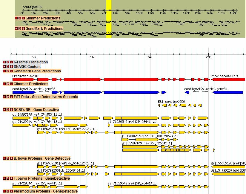Figure 1. Cytauxzoon felis genome browser (GBrowse). In comparing the C. felis genome to the genomes of three related apicomplexans, T. parva, B. bovis and P.