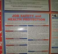 OSHA in Shelters Every employer must maintain or post in a prominent location: Job Safety & Health Protection Poster (OSHA 3165) or state equivalent.