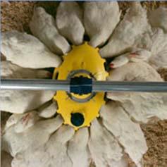 2 Excellent uniformity in feed distribution 3 Separate