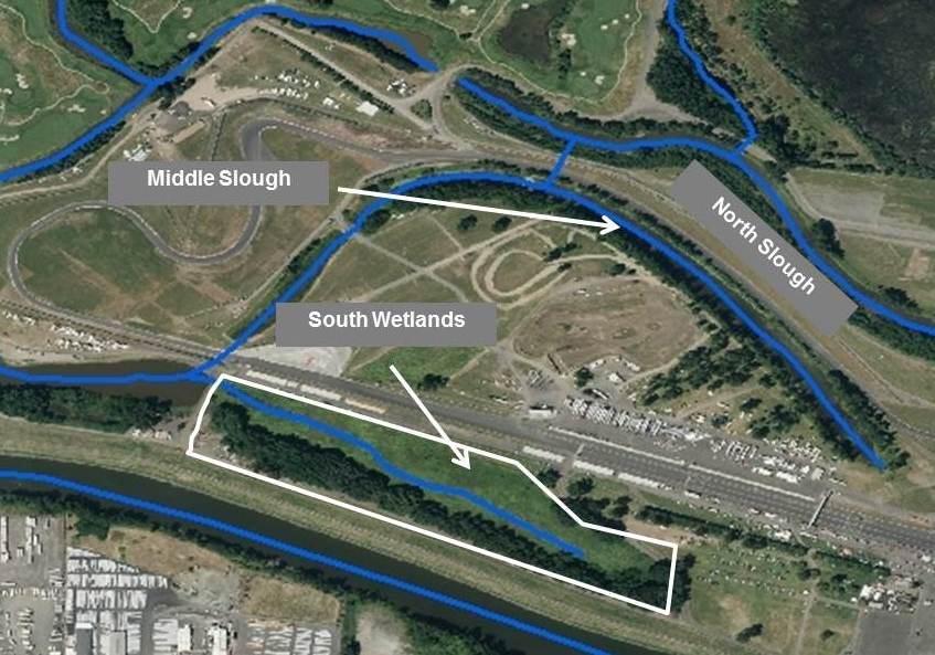 Portland International Raceway Although there has seemingly been little consideration of this site for turtle conservation, we believe it has excellent properties for contributing substantially to