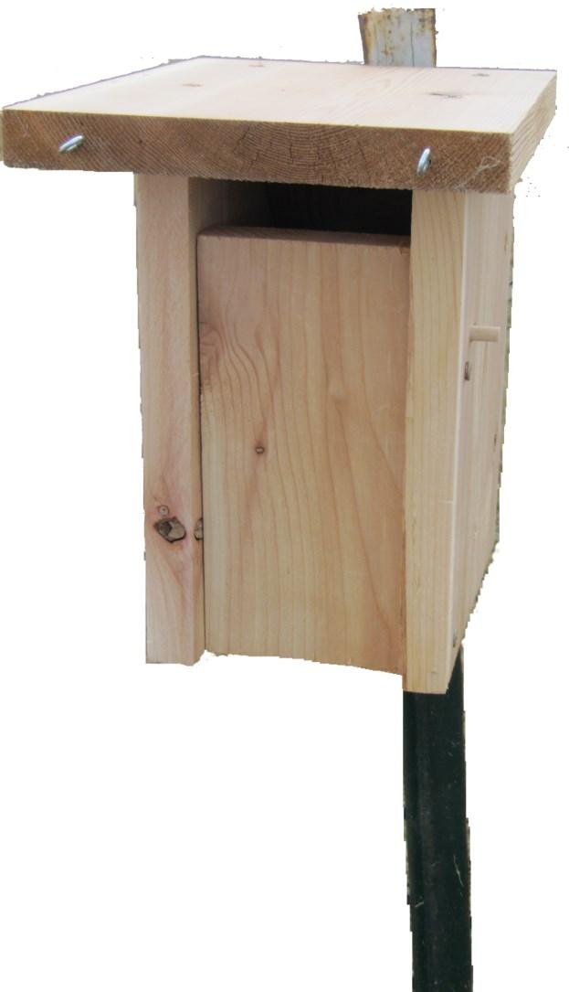 They depend on holes created by woodpeckers and naturally rotted spots in trees. Artificial cavities such as a bird house box will also satisfy a bluebird s requirements.