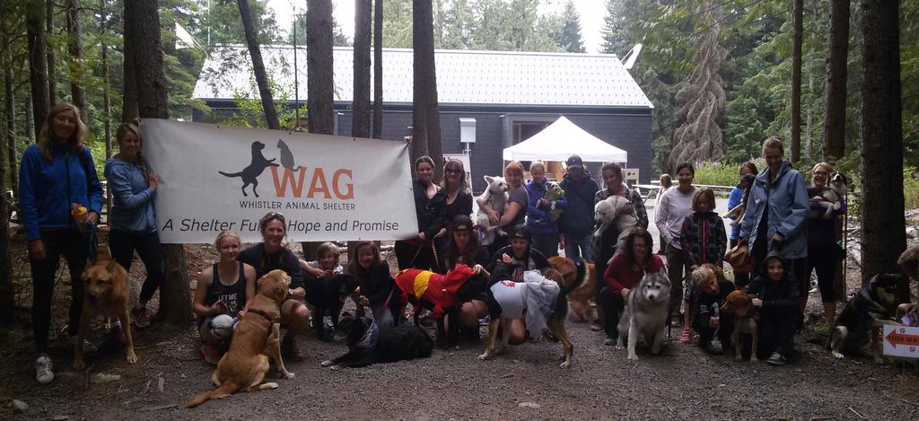 2015 Main Fundraising Initiatives/Events The fundraising landscape continues to change. In 2015, WAG raised over $9,000 through online fundraising initiatives.