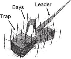 Pound net fisheries Figure 5 illustrates the three main components of two designs of pound nets: the leader (hedging), bays (heart, turn backs or playing ground) and the trap (pound, head, capture