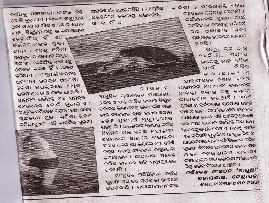 An article of Mr Bijaya Kumar Kabi, Director, APOWA on turtle
