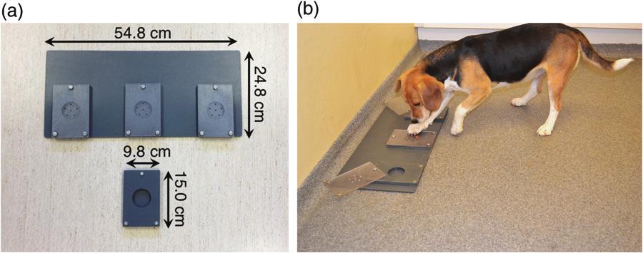 Heritability of social behaviour in dogs Figure 1: The test apparatus. (a) The unsolvable task and single plate (below) used for the initial motivation test. The odour ports measure 0.