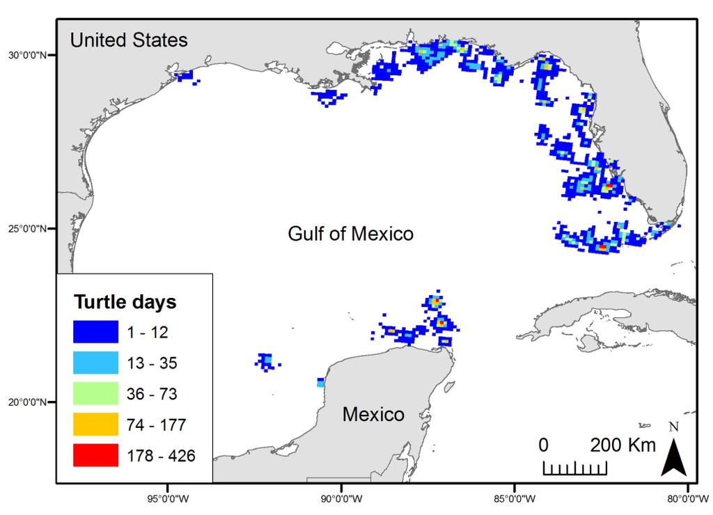 Gulf loggerheads: Implications of local threats and