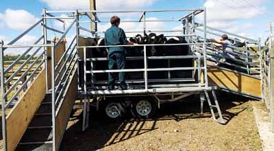 Autumn Testing for Trace Elements Camille Flack Trace elements are a small and yet extremely important part of dairy cow nutrition.