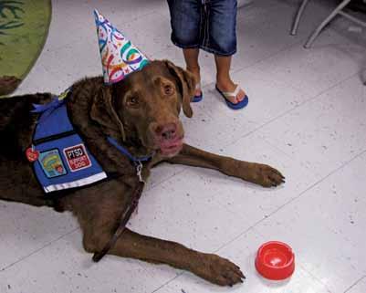 Whopper celebrates his birthday in style To schedule a visit from Whopper through the Paws 4