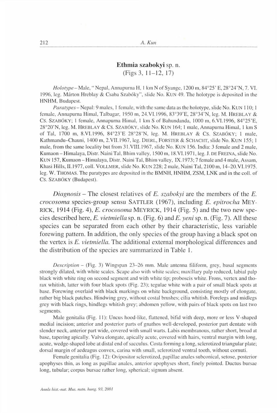 Ethmia szabokyi sp. n. (Figs 3, 11-12, 17) Holotype -Male, " Nepal, Annapurna H, 1 km N of Syange, 1200 m, 84 25' E, 28 24'N, 7. VI. 1996, leg. Márton Hreblay & Csaba Szabóky", slide No. KUN 49.