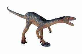 Medium Carnivores (MC) Coelophysis A 7-foot tall dinosaur that gather in groups.