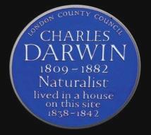 These years were highly productive, and Darwin built a
