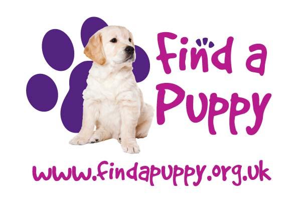 Find A Puppy service from the Kennel Club Spaniel (Cocker) puppi - National - 26th September Kennel Club Assured Breeders Breeder Contact Date Of Birth Dogs Bitch Mrs L J & Mr M Forton Kettering,
