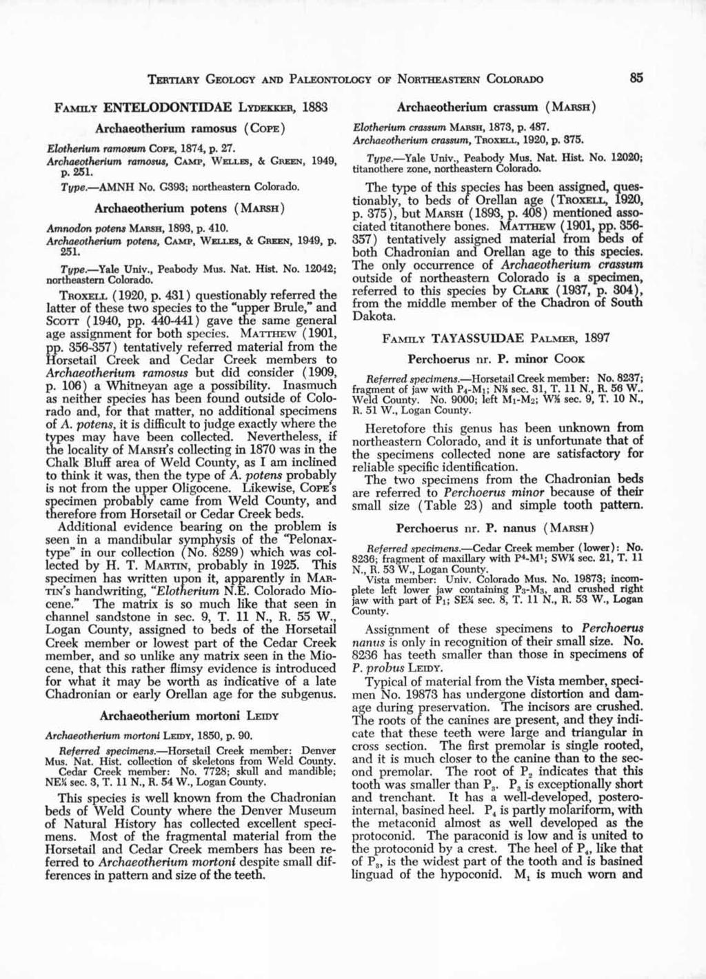 TERTIARY GEOLOGY AND PALEONTOLOGY OF NORTHEASTERN COLORADO 85 FAMILY ENTELODONTIDAE LYDEKKER, 1883 Archaeotherium ramosus ( COPE) Elotherium ramosum COPE, 1874, p. 27.