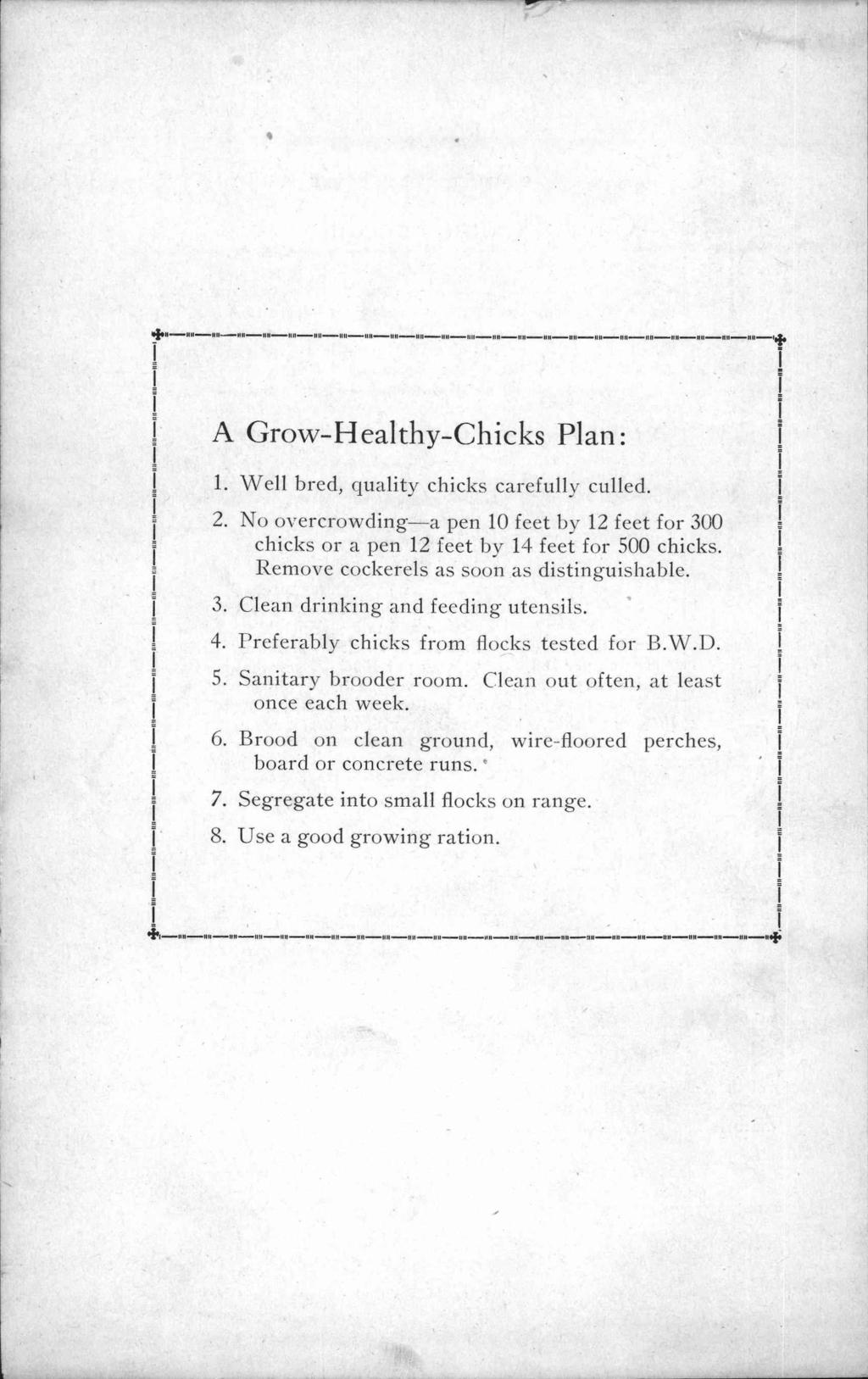 1 11 I 1 II 11 1 A Grow-Healthy-Chicks Plan: Well bred, quality chicks carefully culled. No overcrowdinga pen 10 feet by 12 feet for 300 chicks or a pen 12 feet by 14 feet for 500 chicks.