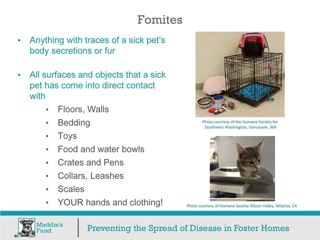 Fomites can be anything with traces of a sick pet s body secretions or fur on them. Body secretions include nasal discharge, saliva, vomit, diarrhea and blood.