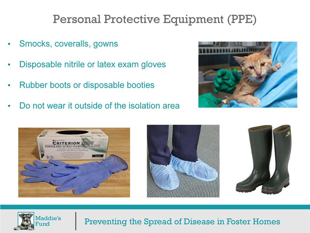 Remember that the use of personal protective equipment, PPE, is one way of avoiding the spread of disease through fomites. PPE is protective clothing, gloves, and footwear.