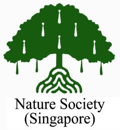 Singapore National Butterfly Campaign Vote for our Singapore National Butterfly What better time than Singapore s 50th year to reflect on our natural heritage?