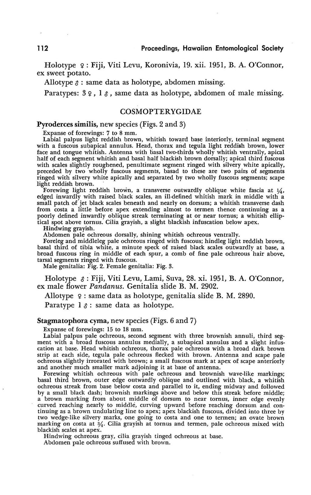 112 Proceedings, Hawaiian Entomological Society Holotype ~: Fiji, Viti Levu, Koronivia, 19. xii. 1951, B. A. O'Connor, ex sweet potato. Allotype ~ : same data as holotype, abdomen missing.