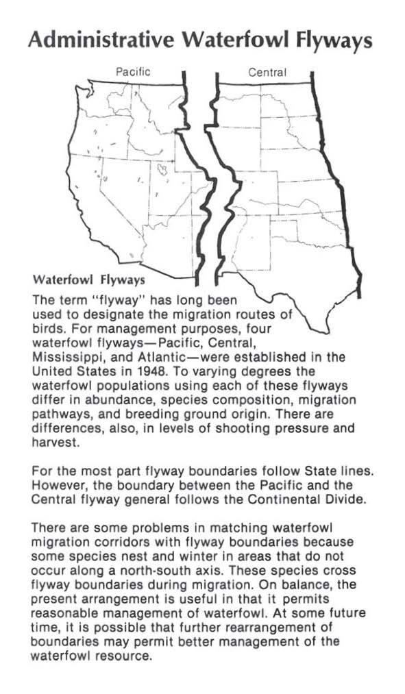 Administrative Waterfowl Flyways Central Waterfowl The term " flyway'' has long been used to designate the migration routes of birds.