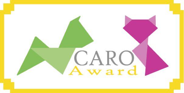 Further activities: The CAROmag and the CARO