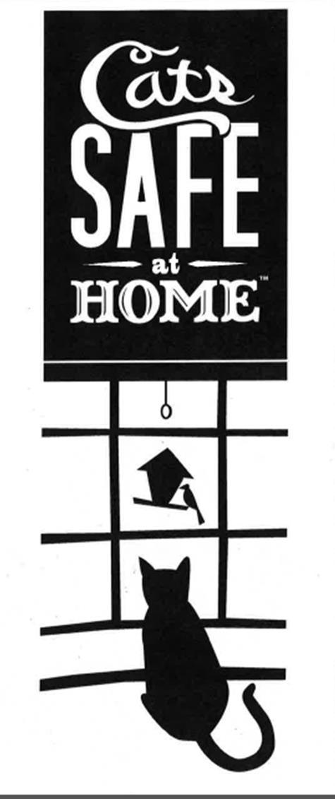 Joint Projects The Safe at Home Campaign seeks to engage the community and encourage people to not let